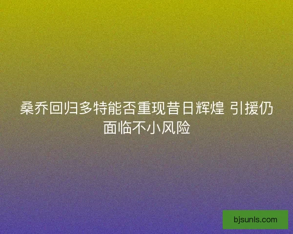 桑乔回归多特能否重现昔日辉煌 引援仍面临不小风险